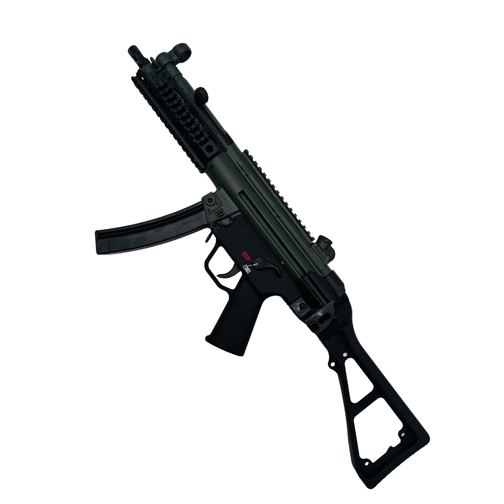 RA5N Full Build side view with B&T folding stock and tri-rail handguard RA5N Full Build side view with B&T folding stock and tri-rail handguard